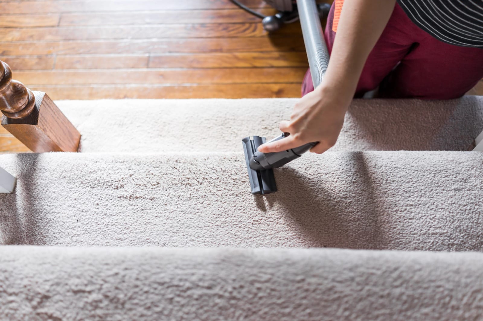 Affordable Pet Stain Odor Removal Lincoln CA Experts