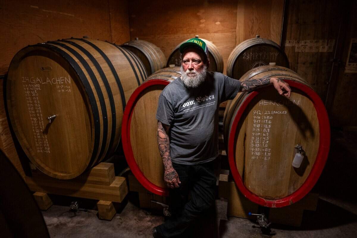 Discover the Elegance of clarksburg wine from Silt Wine Company