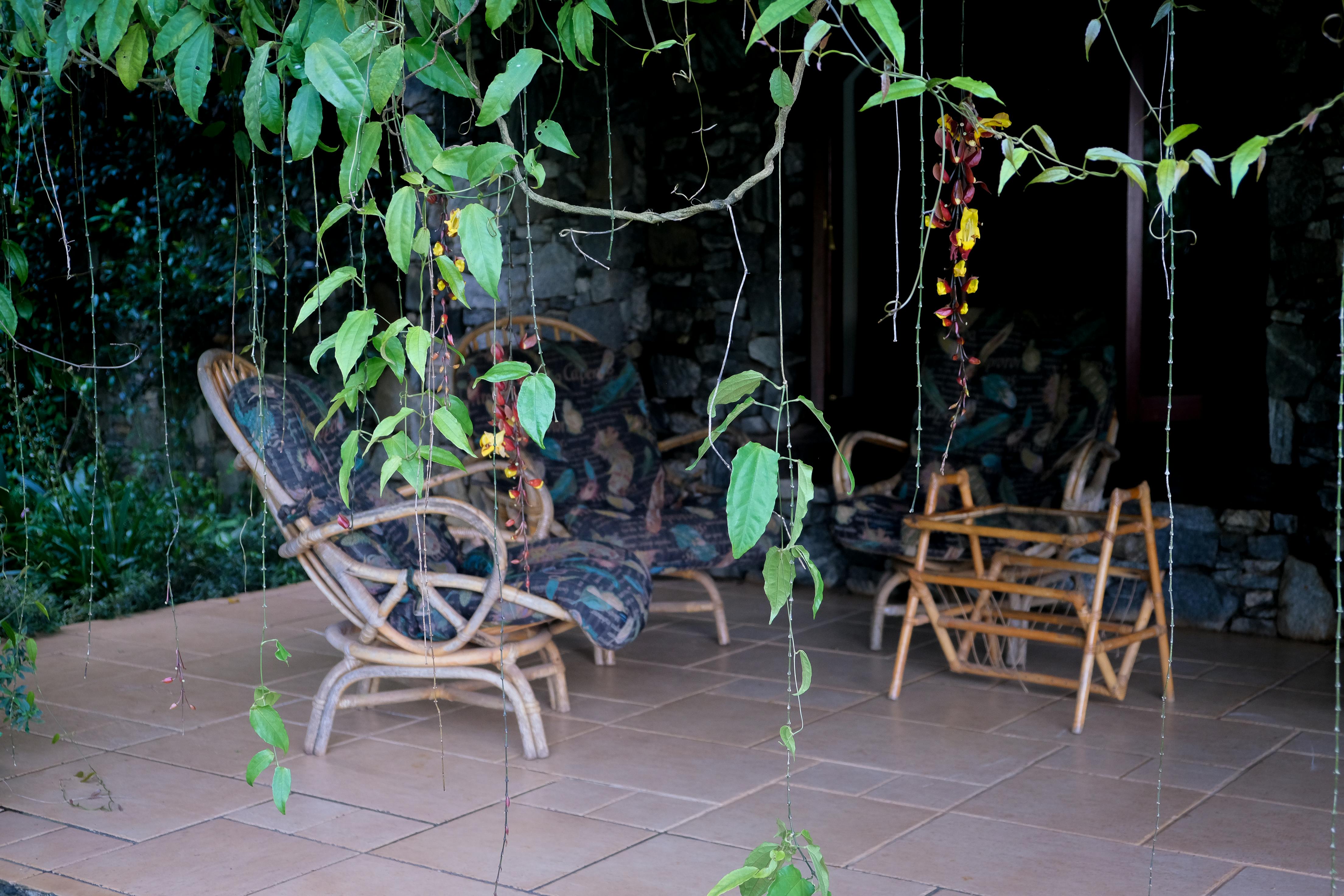 Best patio furniture brands for Elegant Outdoor Spaces